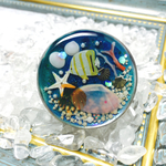 海のピルケース 海星や珊瑚礁のアクセサリーケース