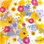 ♡new♡作家様必見♡押し花MIXセット♡押し花セット