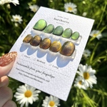 カメレオンマグネット