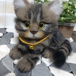 キジトラちゃん🐱💝