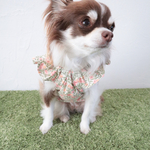 [犬服] Sサイズ 完成品 チワワ　　　　　　　　　　　花柄 キャミソール ワンピース 背中開き バックオープン