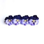 4violas barrette☆M☆deep purple