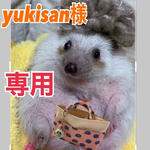 こちらはyukisan様専用