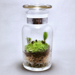 苔テラリウム 森林 moss monkeys 国産薬瓶250ml