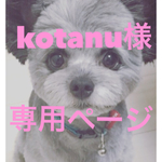 ★kotanu様専用ページ