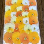 35  macoronが作ったビオラのドライフラワーです‼️