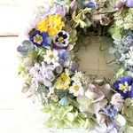 潤う紫陽花季節のビオラリース
