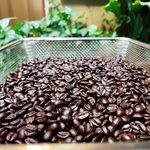 プレゼントあり🎁昭和喫茶の代名詞ケニアAA 200g/300g【ご購入でサービスコーヒー豆プレゼント🎁】