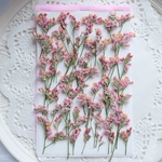 押し花スターチス