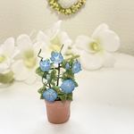 ミニチュア　朝顔鉢植え　小　ブルー