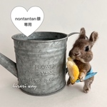 nontantan様専用 オーダーうちのこｼﾘｰｽﾞ羊毛フェルト ちびっこ着せ替えウサギ