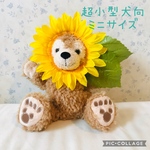 顔出しシリーズ❤︎犬用ひまわり❤︎ミニサイズ