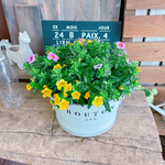 現品ラスト♡【カリブラコア寄せ植え】ナチュラルガーデニング♡ホワイト系ブリキ鉢入り♪長く楽しめるお花