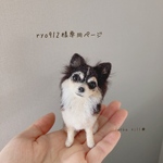 ＊オーダー品＊手乗りうちの子　リオンちゃん