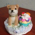 羊毛 柴犬くん