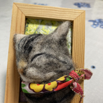 お休み猫ちゃん