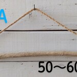 流木ハンガー　(50～60㎝)(Eは売り切れました！)各１本ずつでの販売となります！