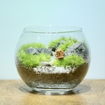 ハニワ_渓流の風景 Bowl S《苔テラリウム・コケリウム》