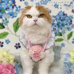 紫陽花ポシェット　ピンク