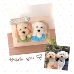 529119 様専用♡額縁わんこ『うちの子オーダー』(mii wool&wool)