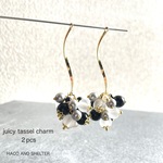2pcs★charm・ juicy  black（ビジュータッセル）
