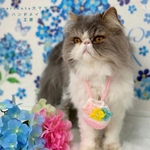 紫陽花の巾着バッグ✨
