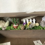 木の小物入れアレンジ（父の日にも！）