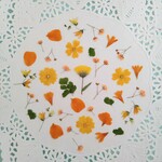 押し花素材620　オレンジ色の小花のセット　花材　ミックス　
