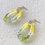 夏のシトラスカラー  レジン  フラワー ピアス