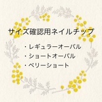 サイズ確認用ネイルチップ