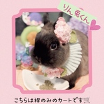 【新作】🌸手編み🌸紫陽花の付け襟（ピンク）