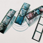 35mm　ポジフィルム風クリアブックマーカー　　桜　４枚セット