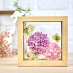 寄り添う2輪の紫陽花　
