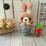 羊毛フェルト☆☆バケツシリーズ☆☆うさぎ編