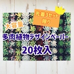 大容量20枚入り多肉植物デザインペーパー/※数量限定