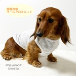 接触冷感タンクトップ くも柄  【グレージュ】 Dog 犬服 ドッグウェア 夏 クール 雲