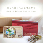 SALE!!!送料込み￥500!!! 夢の島行きチケット【ICカードステッカー】
