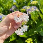 M.156 clear Aurora White flower