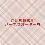 ＊ご新規様専用＊ 6/11 21:40 ハーネスオーダー用チケット