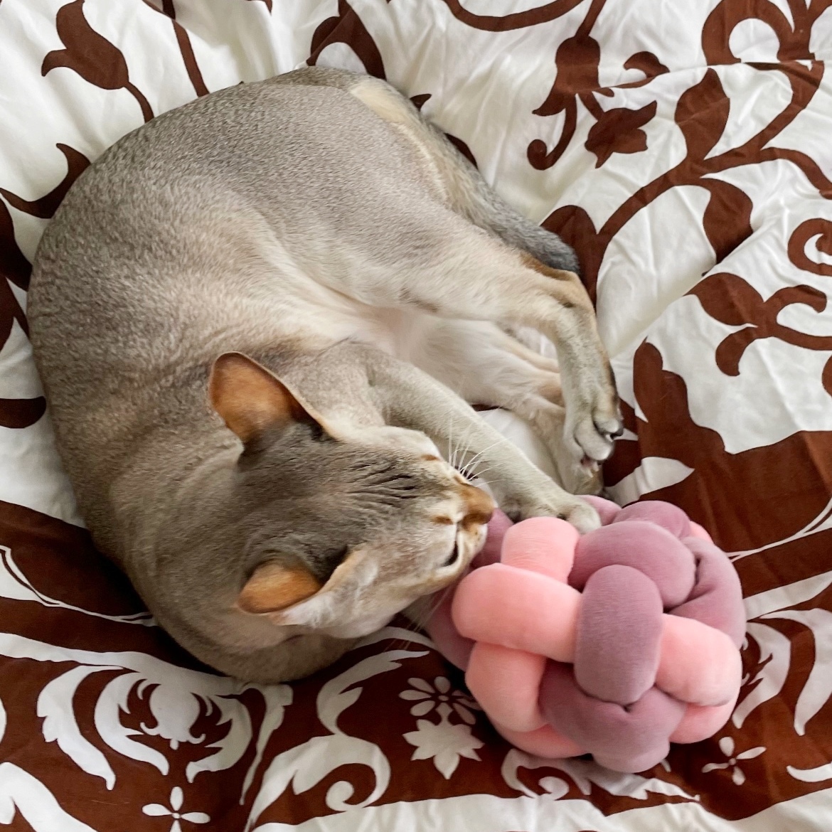 猫☆おもちゃ】チャンキーボール（2色） - BoKu Wa CoCo'S GALLERY