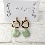 ピスタチオカラーとわっかのイヤリング　ピアス変更OK