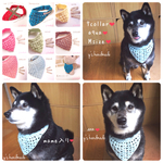 ❤️再販❤️ペットさんの大人可愛いバンダナ❤︎S.M.L❤︎名入れ❤︎8collar❤︎赤入荷しました❤️️