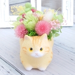 猫フラワーアレンジ　プリザーブドフラワー　母の日　父の日　敬老の日　お誕生日お祝い　退職祝い　フラワーアレンジメント　