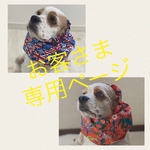 お客さま専用おまとめページ★犬用スヌード