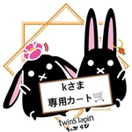 kさま専用カート カーマグネット twinslapin