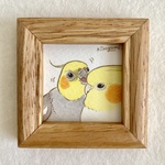 手のりオカメちゃん豆原画（オカメインコのカキカキ）