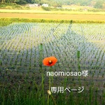 naomiosao様オリジナルトートバッグ