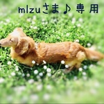 mlzuさま♪専用