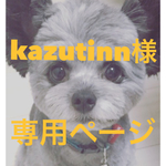 ★kazutinn様専用ページ
