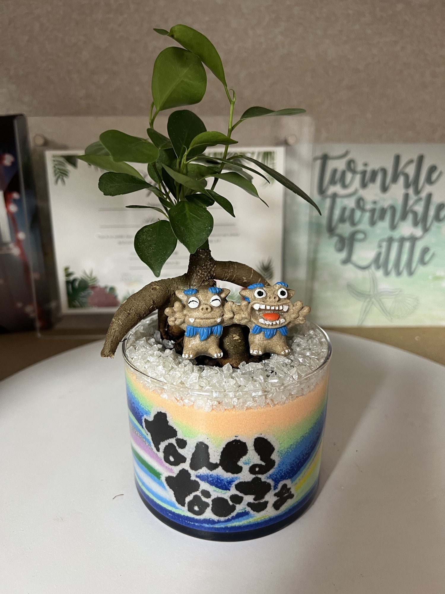 カラーサンドアート ガジュマル 観葉植物 シーサー 沖縄 なんくるない 